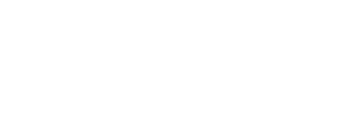 Castles technologies logo