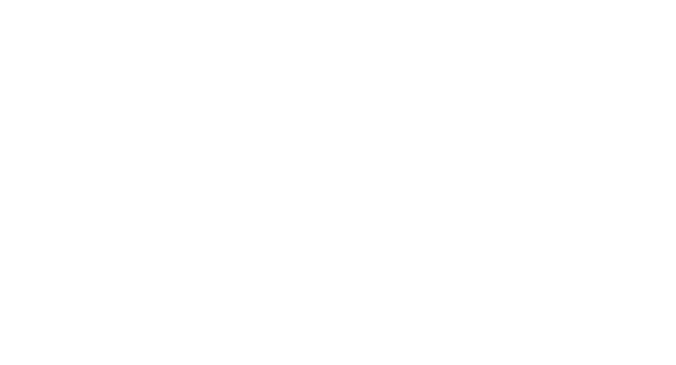 Riverbed logo