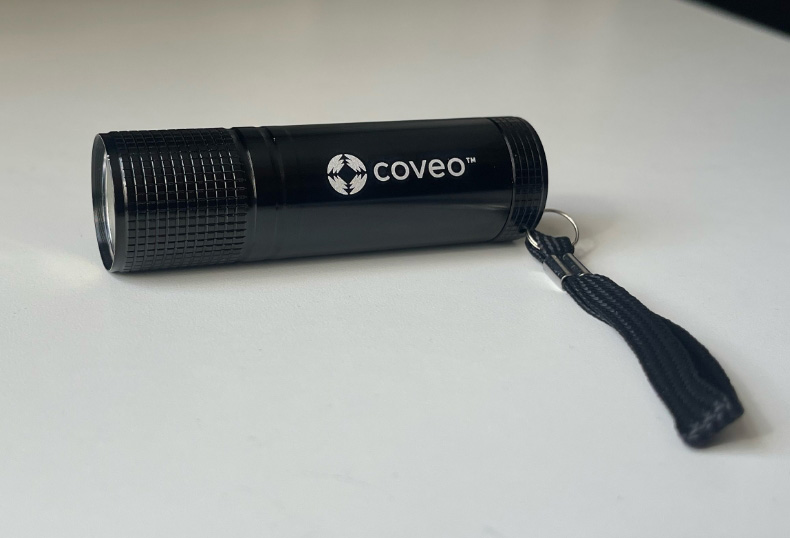 Coveo cs images